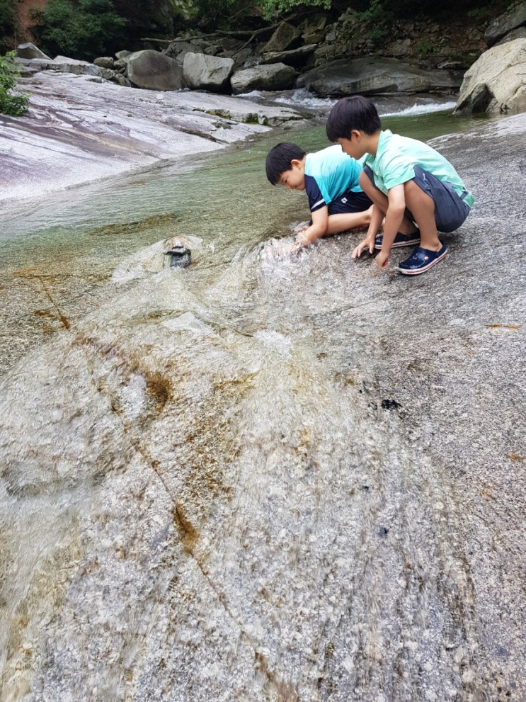 20190808~0811 강원도 인제 용대자연휴양림 야영장