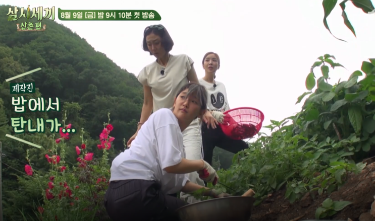 강원도 정선 촬영지,삼시세끼 산촌편 첫방송.