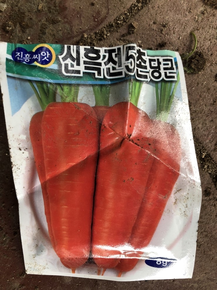  2019 8월 초순 농사