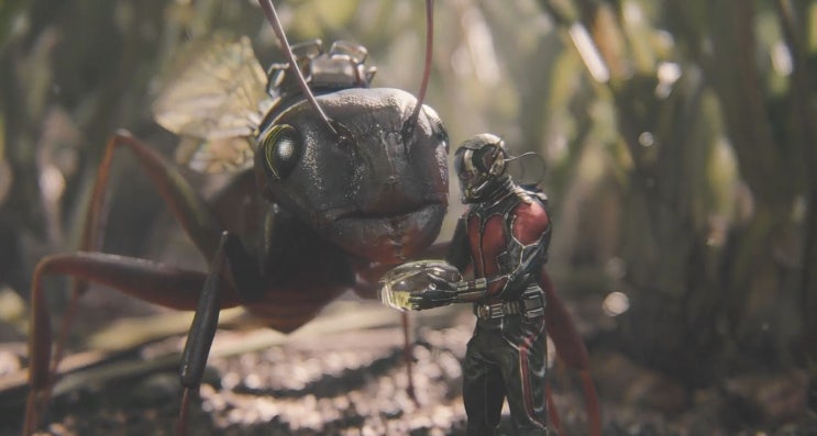  MCU Ph2-6 앤트맨('2015)