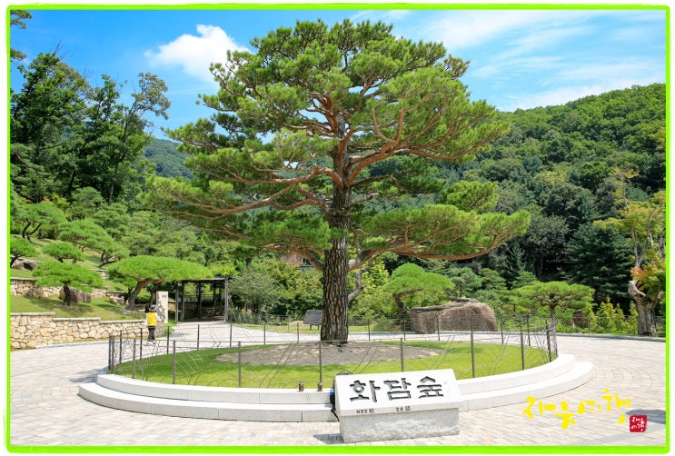  곤지암 화담숲
