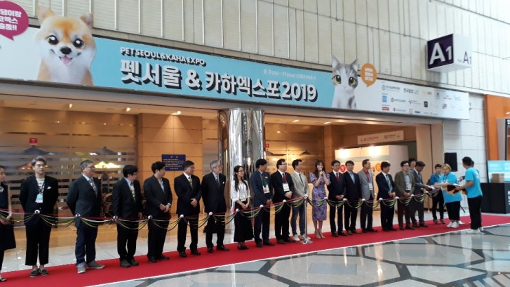  코엑스 전시회, 펫서울 2019 안혜경 등장. 비혼주의 노처녀들의 집합소