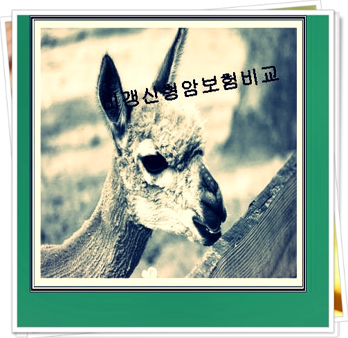  50대보험 ※계획적으로