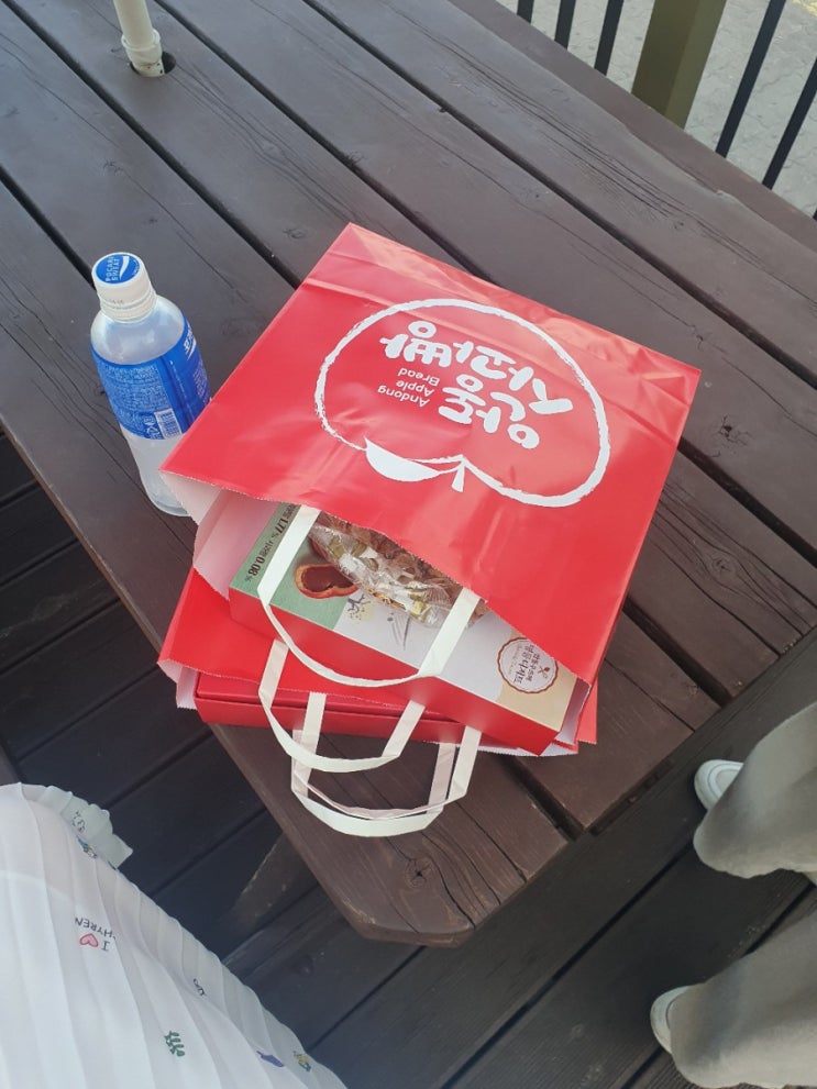  안동 사과빵