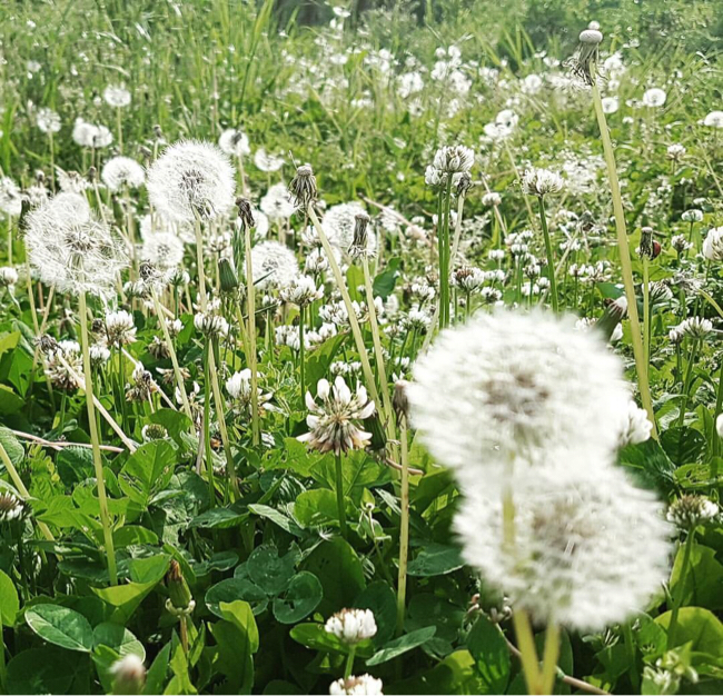  [오산.분당타로 아이린타로] 타로, 지식 체크!