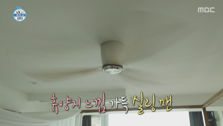  나혼자 산다  임수향 집 인테리어, 실링팬