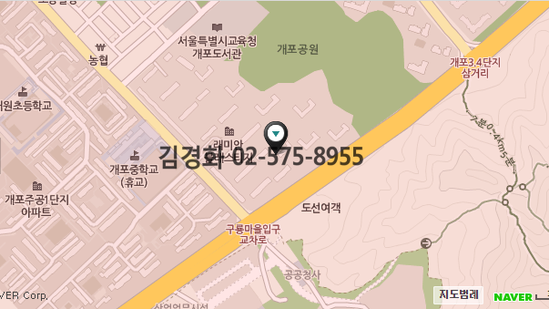  강남구 개포동 래미안블레스티지 216동 아파트