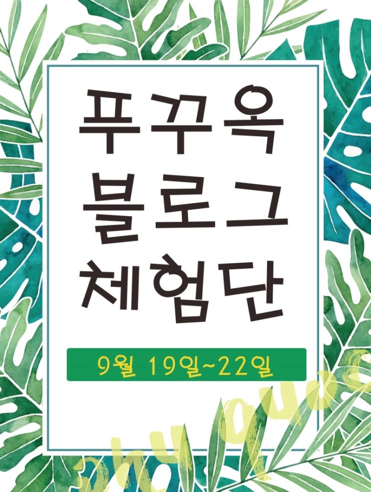  여행체험단 모집 베트남 푸꾸옥 베트남스토리 여행서포터즈 지원해보자!
