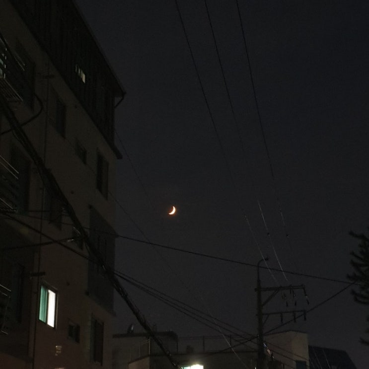  6. 여름여름해