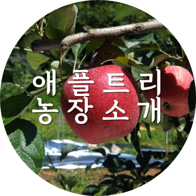  애플트리, 산소카페청송에서 사과를 생산합니다.