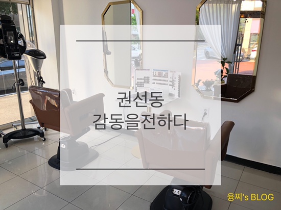  권선동 미용실 후기 ) 좋은 제품, 합리적인 가격의 헤어샵, 권선동 감동을전하다
