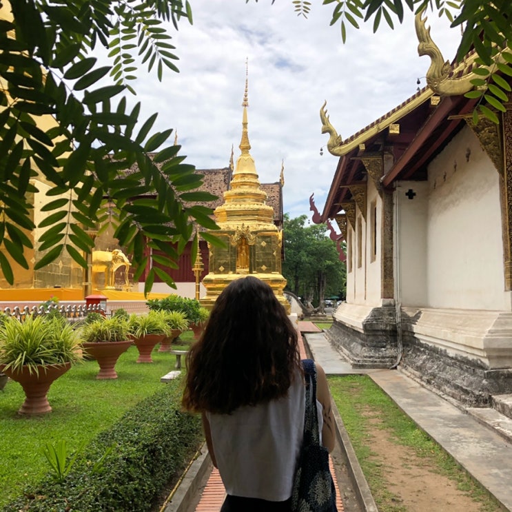  Chiang mai 9