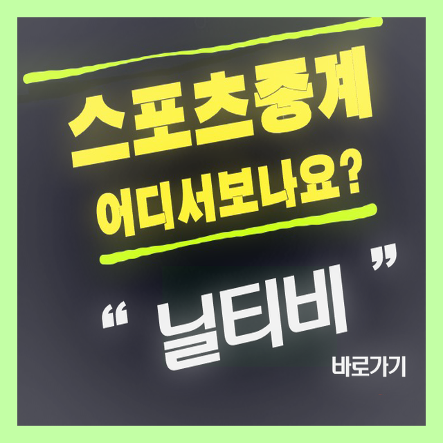  닐티비 긴급 점검시간 공지 및 이정표