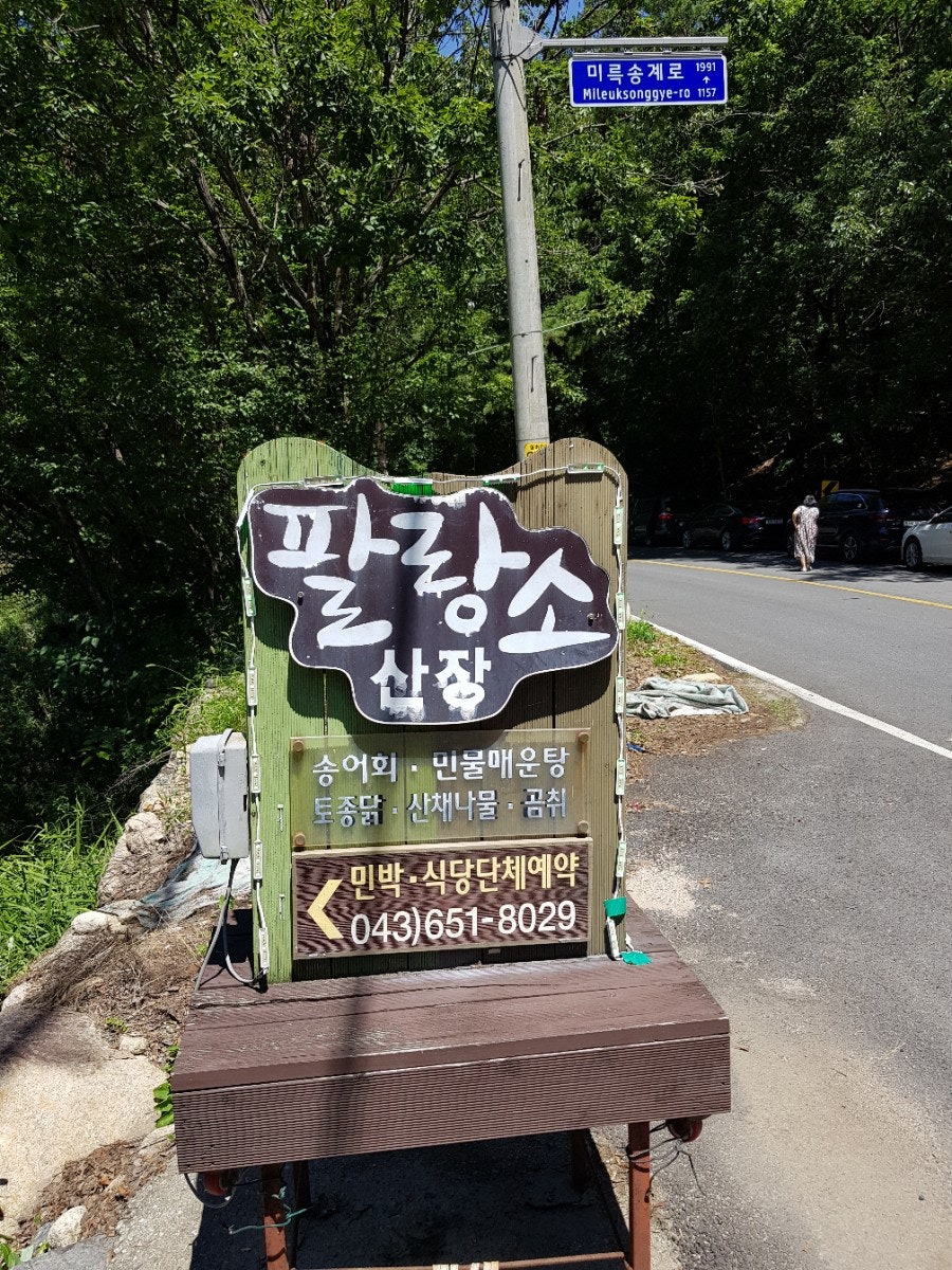 팔랑소 사진 1