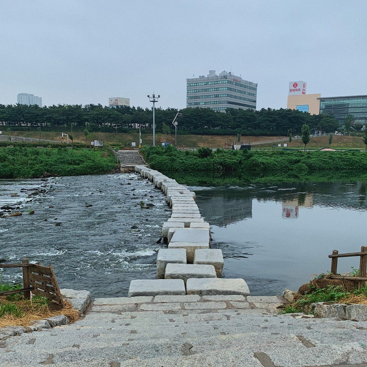  거기 너머에 사람들 안녕하세요