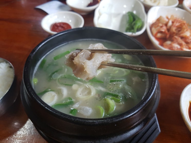 안성 설렁탕 맛집 - 안일옥
