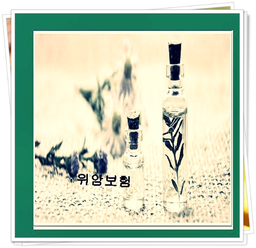  보험내역조회  도움되는