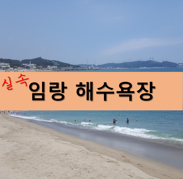  (부산) 임랑해수욕장