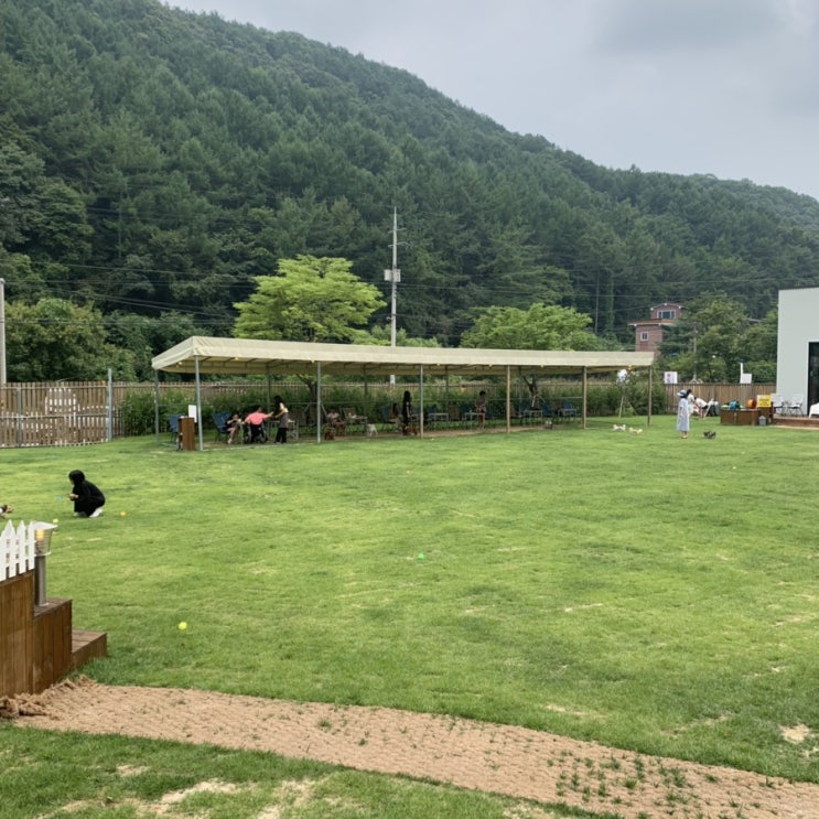  충남 공주 애견카페 "카페댕"