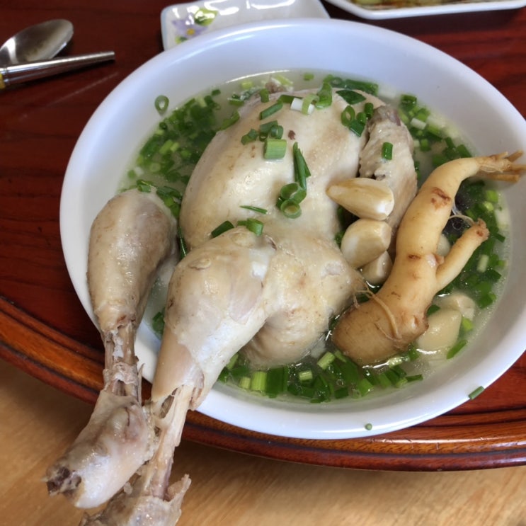  말복에는 맛있는 씨암탉으로(사위사랑은 장모님)_자태가 섹시하닭(복날 추천메뉴)