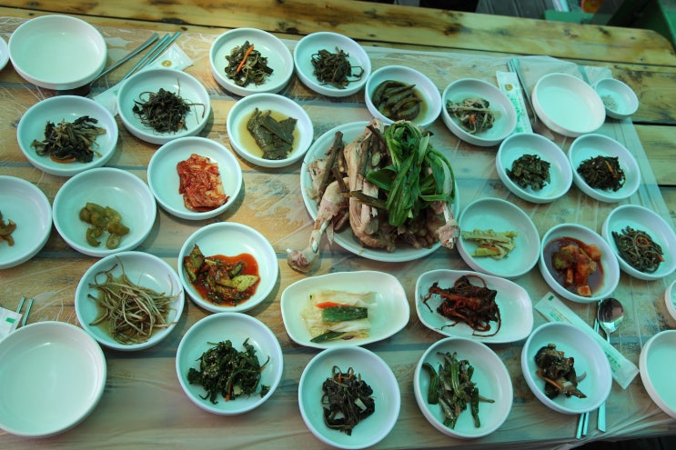  지리산 뱀사골 달궁계곡 한그루 감나무골펜션 닭백숙맛집