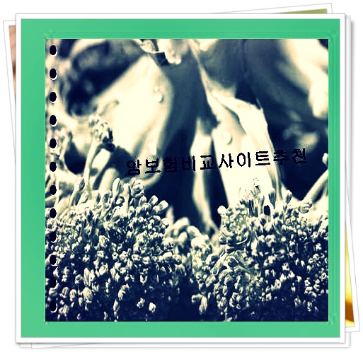  탁송보험  실력있는곳