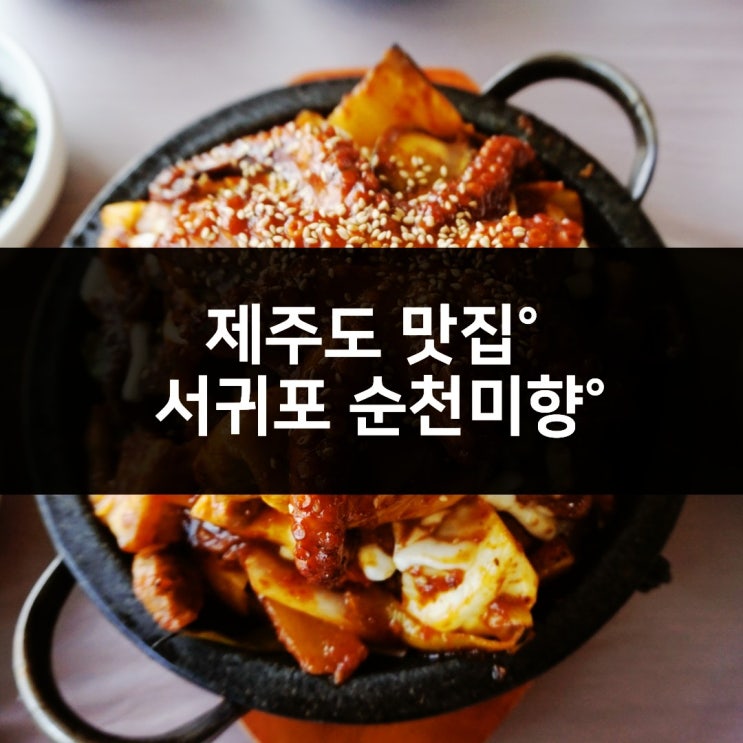  [맛집]제주도 서귀포 맛집 산방산 보문사 삼학볶음 갈치조림 고등어조림 맛집