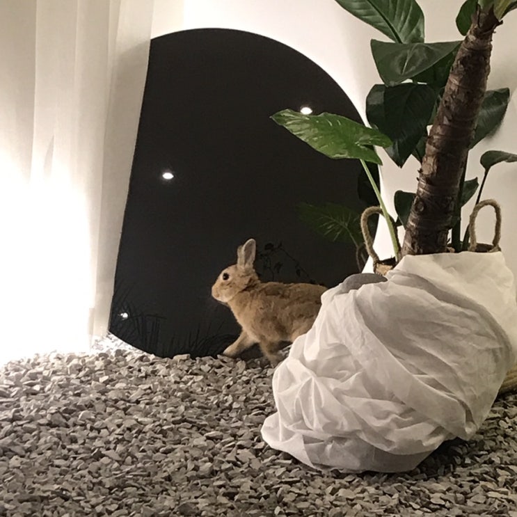  여름 일상 #가득하지 않아도 가득해
