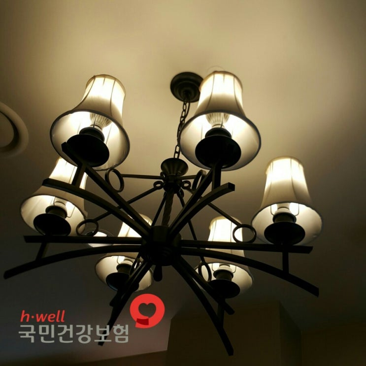  65세미만으로 노인장기요양등급신청 가능한 노인성질병 21가지