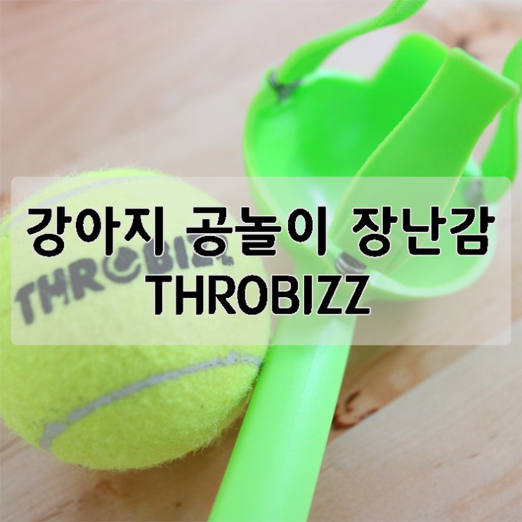  [강아지용품] 강아지 공놀이 장난감 추천, 트로비즈(THROBIZZ)