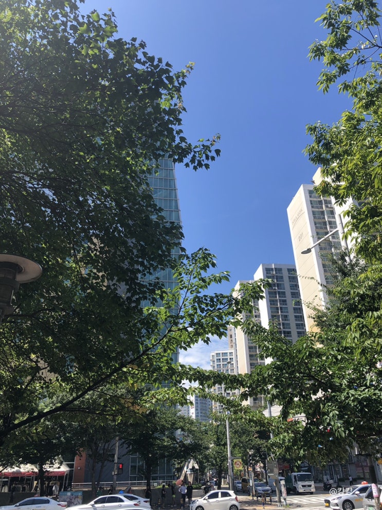 [8월둘째주일상] 삼성갤럭시노트10+ 사전예약,왓쳐
