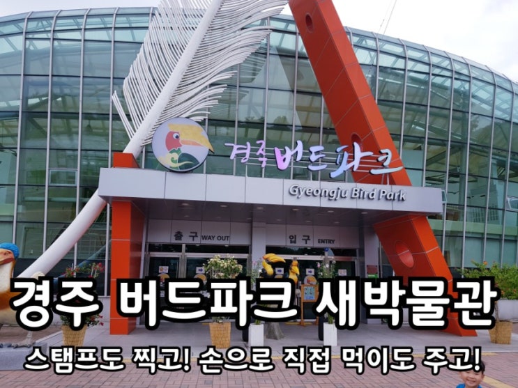 경주 가볼만한곳 버드파크 관람 후기. 경주 가볼만한곳 버드파크 관람 후기.