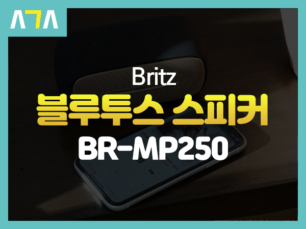 브리츠(Britz) BR-MP250 휴대용 블루투스 스피커