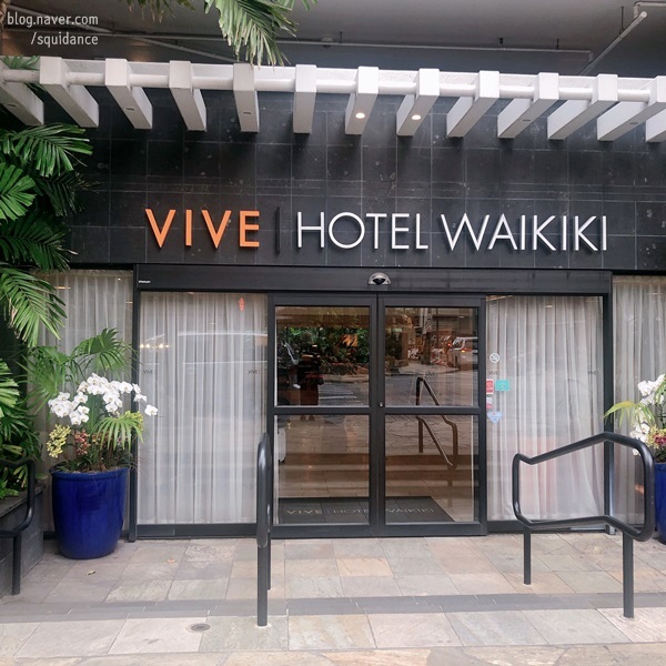  2019 HAWAII : 와이키키 바이브 호텔 (Vive Hotel Waikiki) 후기