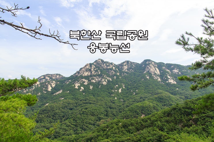  [북한산 국립공원] 응봉능선~진관사 계곡 원점회귀 코스