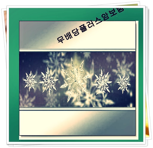  행복을다주는가족사랑보험  기다려왔던