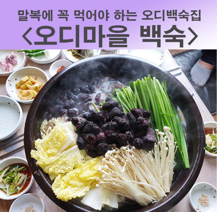  제주도 이색맛집 말복음식, 오디마을에 오리백숙 추천드려요