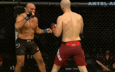UFC 우루과이 : 셰브첸코 vs 카무치 2 피니시 영상 및 뒷얘기