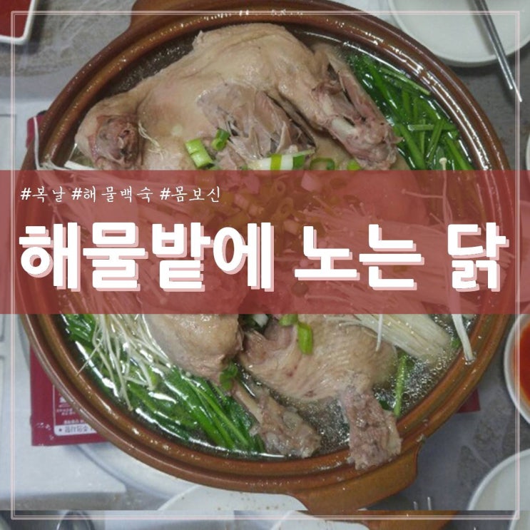  금동수산 & 해물밭에 노는 닭 (feat. 복날)