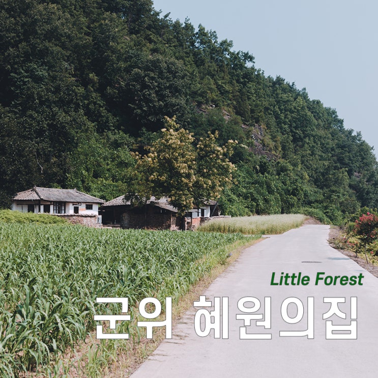  군위 혜원의집 <리틀포레스트> 촬영지 : 여름