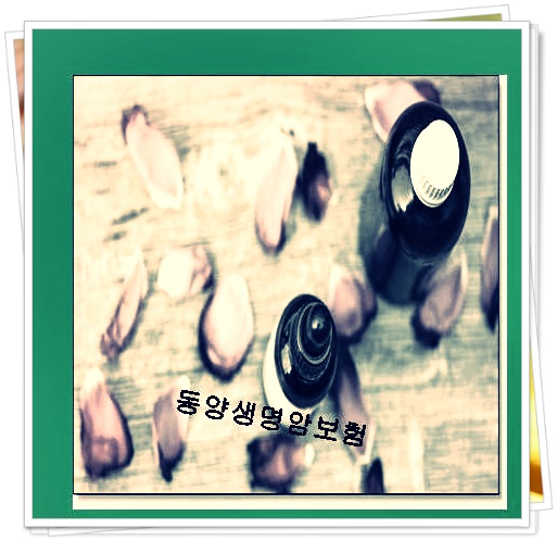  어린이보험가입순위  궁금한거