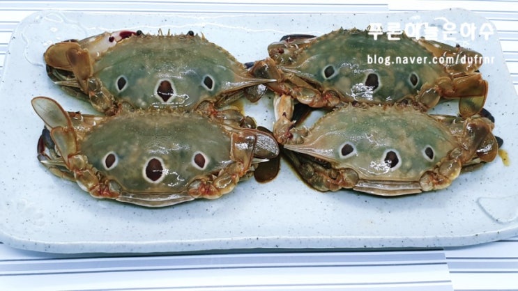  간장게장택배 현진푸드 간장게장 코알라 삼점꽃게장