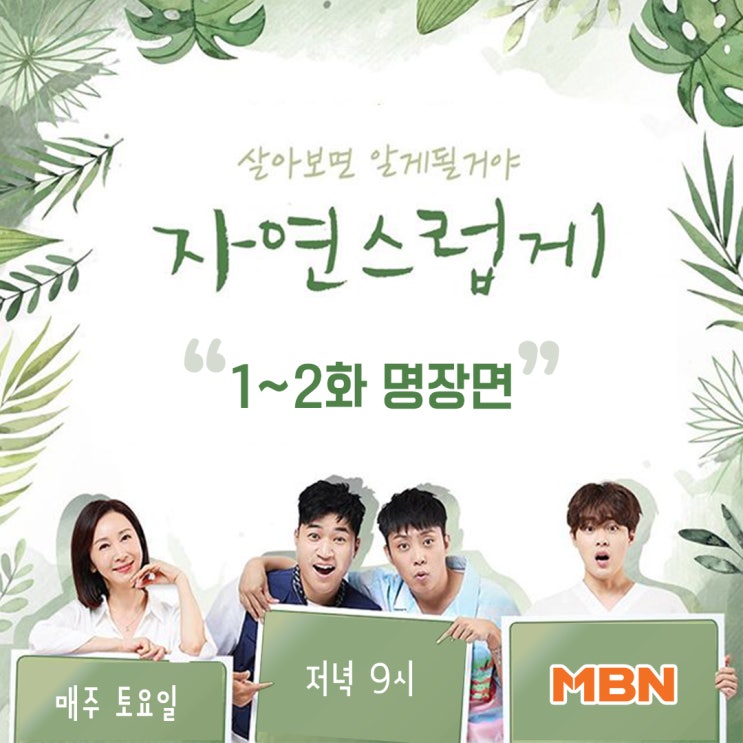 [MBN 서포터즈] <자연스럽게> 명장면 한눈에 보기!!