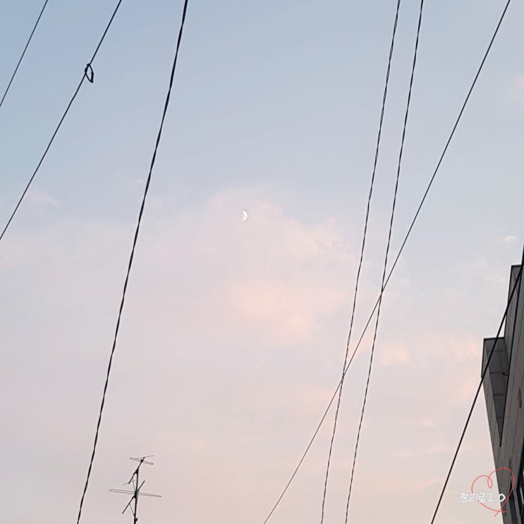  일상 / 더워도 너무 더운 요즘