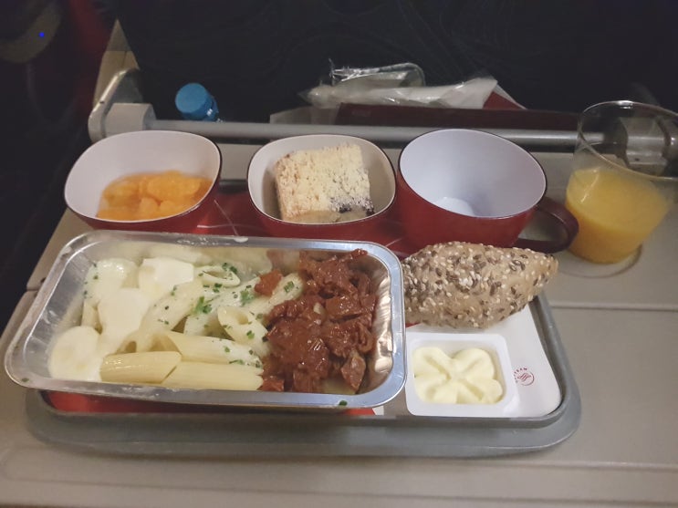  동유럽 프라하 자유여행 바츨라프하벨공항 체코항공 기내식 KE5936 후기