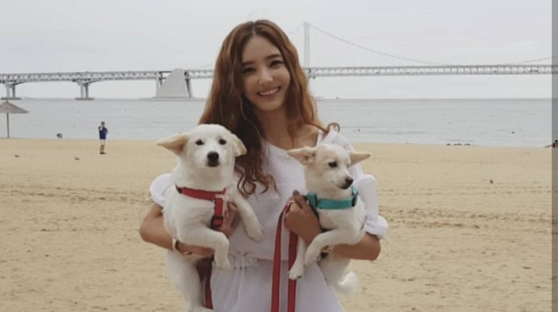 한채영 나이 성형 국적 시아버지 왜죠?
