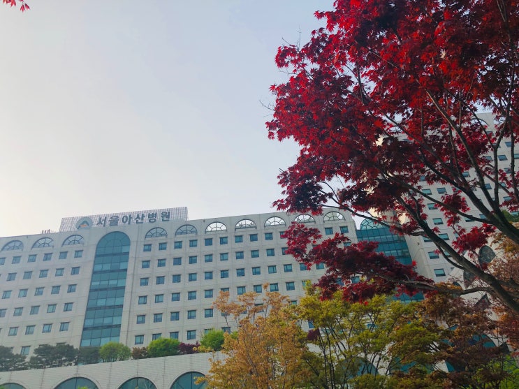  병원일기 :) 암 그리고 장기기증 간이식 #1