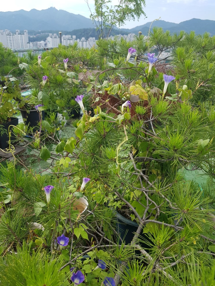  로또 당첨 : 제871회 당첨 번호
