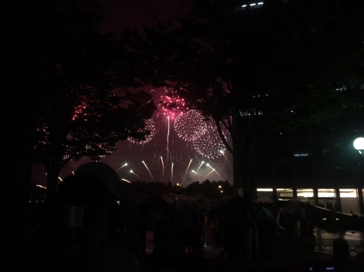  [그리고, 일상] + 4 1 日 / 쫄딱 젖은 불꽃축제