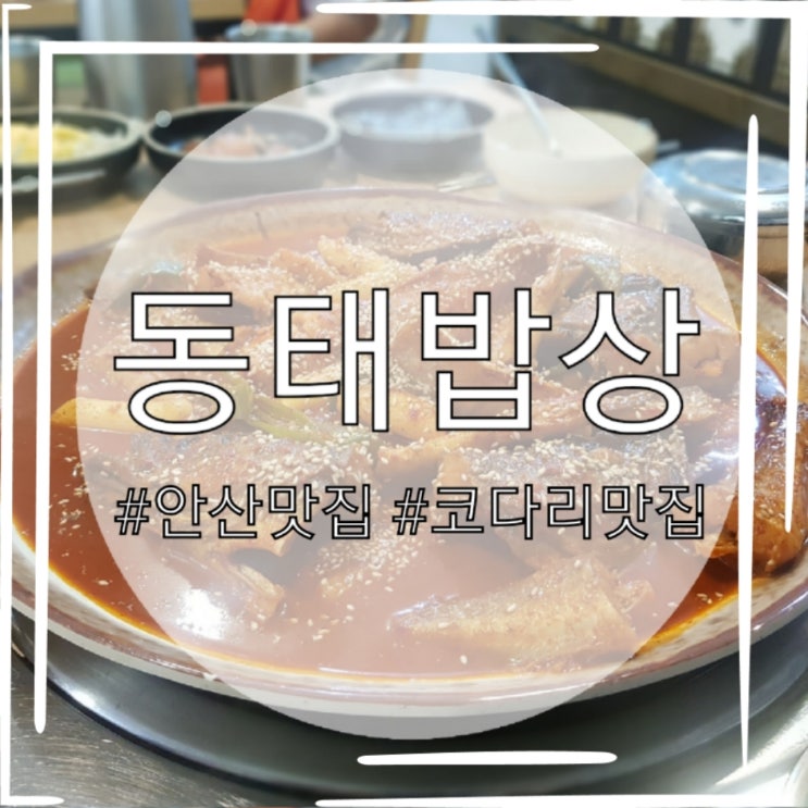  낮에만 여는 식당! 안산 사동 맛집 '동태밥상'을 다녀왔어요 :-)